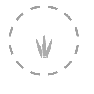 fsxline's emblem