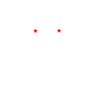 4ekTop's emblem
