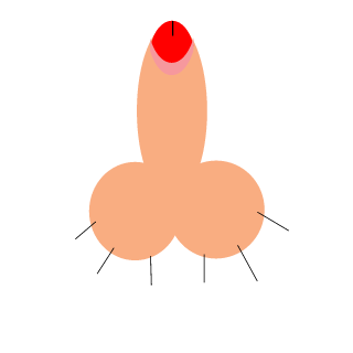 xebas2234's emblem