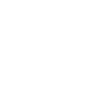 NTSabertooth19's emblem
