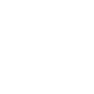 b491b176533e2c5f's emblem