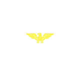 bouncer2828's emblem