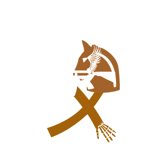 iDracooo's emblem