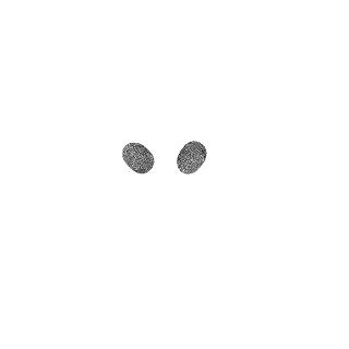 DarkDW_99's emblem