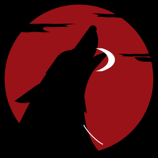 MUCHACHO060's emblem
