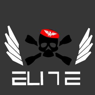 Ech0_337's emblem