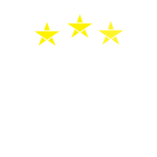 VizeFox's emblem