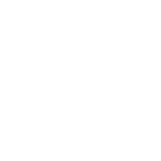 Snejk00's emblem