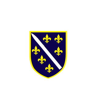 BosnianBadger's emblem