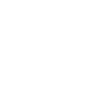 insonia2's emblem