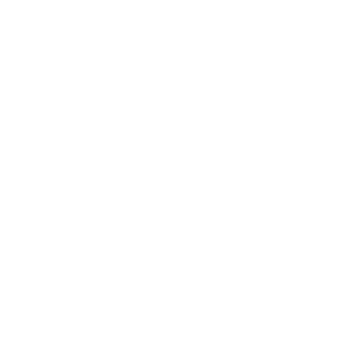 demonixDDD's emblem