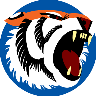 Strike Team Killers's emblem