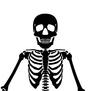 N1CO 002's emblem