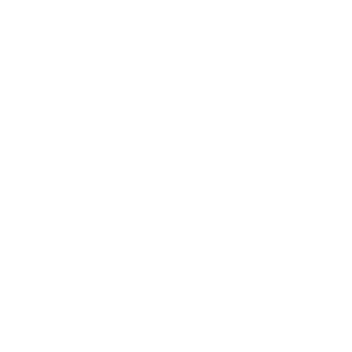 ChrisXi1996's emblem
