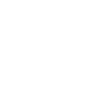 brick0's emblem
