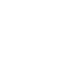 RoboDouche's emblem
