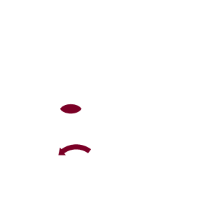 WieDieAasgeier's emblem