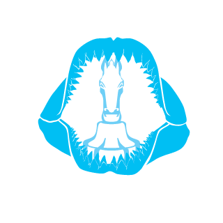 Yuang28's emblem