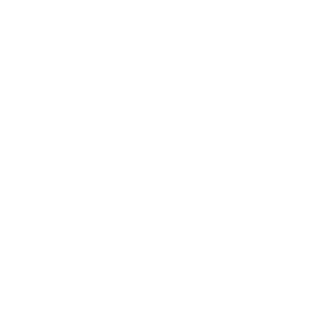 RaidMan04's emblem
