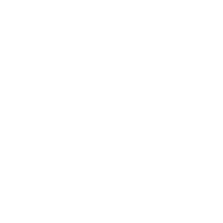 Broshua2's emblem