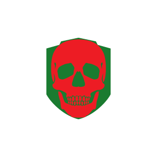zylong0301's emblem