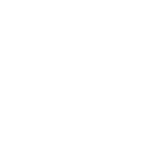 KingFol37's emblem