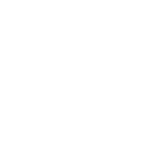 N4xela's emblem