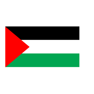DR CHlNSTRAP's emblem