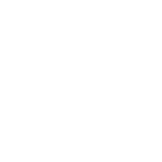 dan4ik1119's emblem