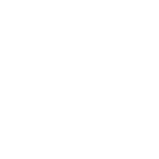 digivolve8's emblem