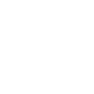 xfl1ck's emblem