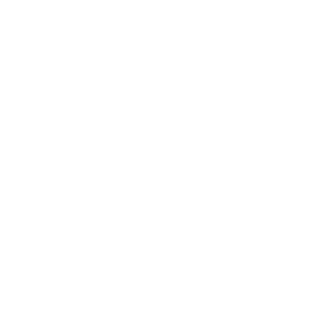iAMiRex98's emblem
