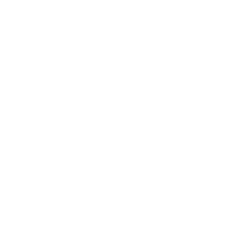 H7O's emblem