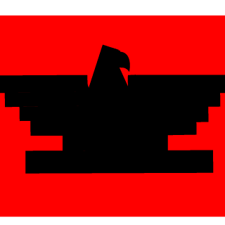 NightRider_916's emblem
