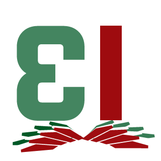 N1shazu's emblem