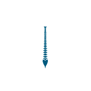 3ff13ba4247f038d50b6b2ff6e6e4d8d's emblem
