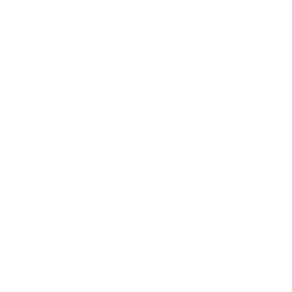 Dysol's emblem