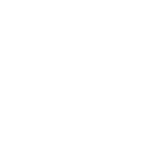Sulligy's emblem