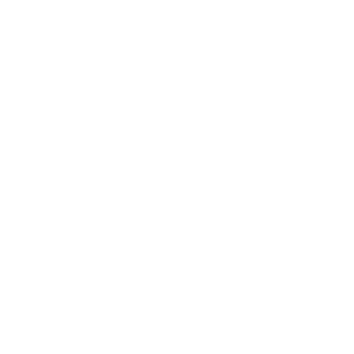 DVIGOK_2002's emblem