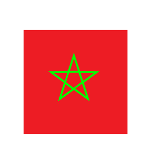 ProMarocGamer84's emblem