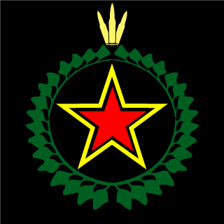 Not_Cyanide121's emblem