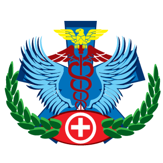 ChaosLizard457's emblem