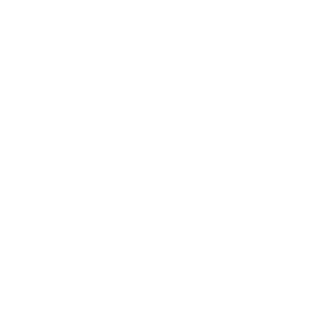 bmwb10's emblem