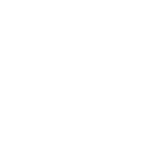 BYSTRZUJ's emblem