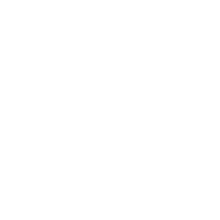 JustAKing_RUS's emblem