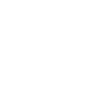 Zedinho2KS's emblem