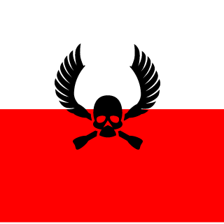 1panklops1's emblem