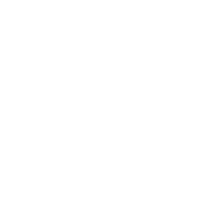 Elv2's emblem