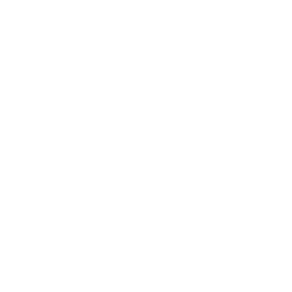 BitZit's emblem