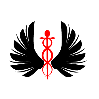19K71S's emblem